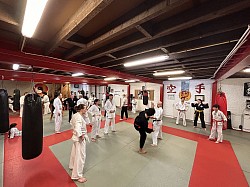 Sempai Sylvie in action Uccle Dojo