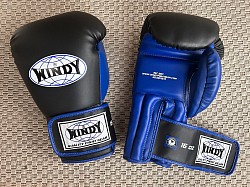 Boxing Gloves - Windy, 14oz or 16oz - 75 Euros